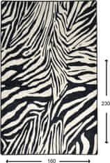 Conceptum Hypnose Koberec Zebra 160x230 cm biely/čierny