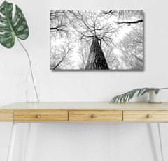 Wallity Maľba s LED osvetlením TREE ROOT 68 45 x 70 cm