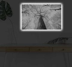 Wallity Maľba s LED osvetlením TREE ROOT 68 45 x 70 cm