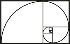 Wallity Nástenná kovová dekorácia GOLDEN RATIO čierna