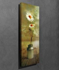 Wallity Obraz na plátne Daisy dream PC164 30x80 cm