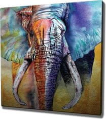 Wallity Obraz na plátne Elephant ethno KC306 50x70 cm