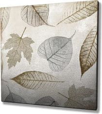 Wallity Obraz na plátne Leaves II KC137 45x45 cm