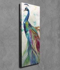 Wallity Obraz na plátne Peacock PC118 30x80 cm