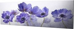 Wallity Obraz na plátne Violet beauty PC028 30x80 cm