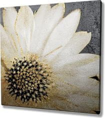 Wallity Obraz na plátne Whispering flower KC165 45x45 cm