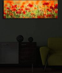 Hanah Home Obraz s led osvetlením Sean 90x30 cm