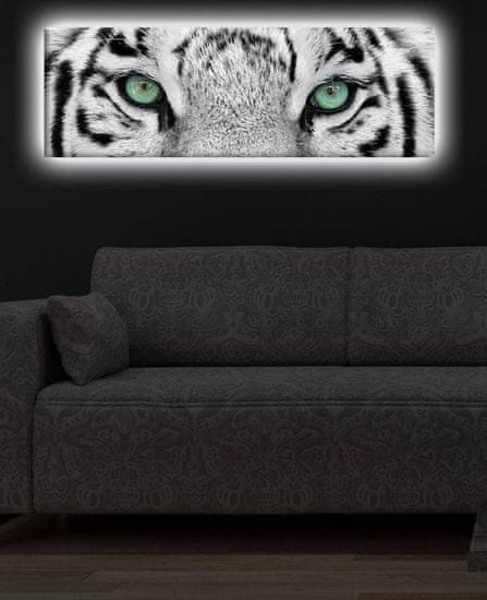 Hanah Home Obraz s led osvetlením White Tiger 90x30 cm