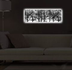 Wallity Obraz s LED osvetlením VETVY STROMOV 72 30 x 90 cm