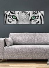 Hanah Home Obraz s led osvetlením White Tiger 90x30 cm