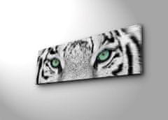 Hanah Home Obraz s led osvetlením White Tiger 90x30 cm