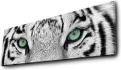 Hanah Home Obraz s led osvetlením White Tiger 90x30 cm