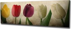 Hanah Home Obraz Tulipány 80x30 cm