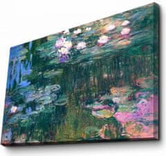 Hanah Home Obraz WATER LILIES, od C. MONETA 45x70 cm