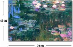 Hanah Home Obraz WATER LILIES, od C. MONETA 45x70 cm