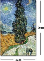 Wallity Reprodukcia obrazu Vincent van Gogh 101 45 x 70 cm