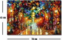 Hanah Home Reprodukcia obrazu Leonid Afremov 70x45 cm