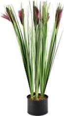 Mondex Umelá kvetina GRASS 64 cm fialová/zelená