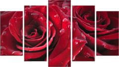 Hanah Home Viacdielny obraz Rojo Manto 110x60 cm