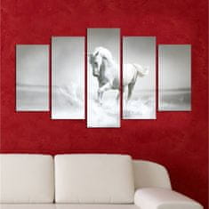 Hanah Home Viacdielny obraz White Horse 110x60 cm