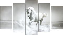 Hanah Home Viacdielny obraz White Horse 110x60 cm