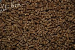 Lk Baits ReStart Pellets Mussel 1kg, 4mm