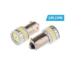 Carmotion 2ks LED 12V/24V H21W BAY9s čirá CANBUS