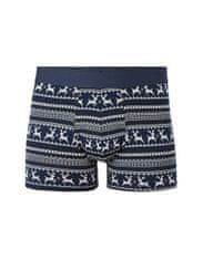 Celio Boxerky Jibojacq L