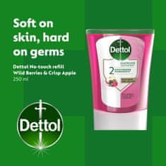 Dettol Náplň do bezdot. dávkovače Vůně lesního ovoce 250 ml