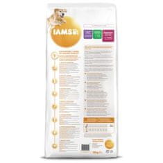 IAMS Krmivo Dog Senior Large Chicken 12kg