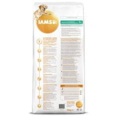 IAMS Krmivo Dog Adult Weight Control Chicken 12kg