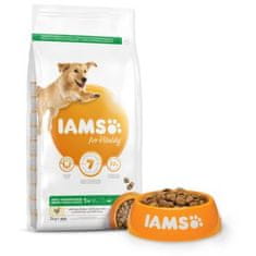 IAMS Krmivo Dog Adult Large Chicken 3kg