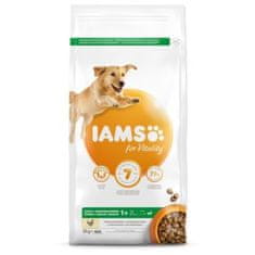 IAMS Krmivo Dog Adult Large Chicken 3kg