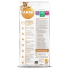 IAMS Krmivo Dog Adult Large Chicken 12kg