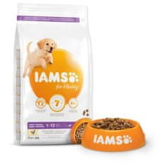 IAMS Krmivo Dog Puppy Large Chicken 3kg