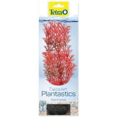 Tetra Dekorácia Rastlina Foxtail Red M 23cm