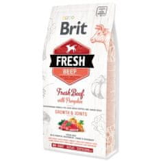 Brit Krmivo Fresh Beef with Pumpkin Puppy Large 2,5kg