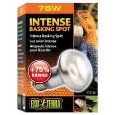 EXO TERRA Žiarovka Intense Basking Spot 75W