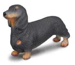 COLLECTA Jazvečík - model zvieratka