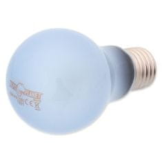 REPTI PLANET Žiarovka Daylight Neodymium 50W