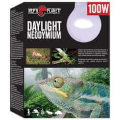 REPTI PLANET Žiarovka Daylight Neodymium 100W