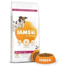 IAMS Krmivo Dog Senior Small & Medium Chicken 12kg