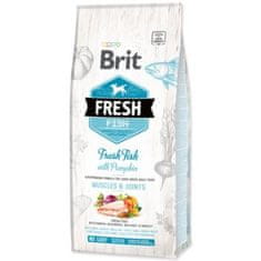 Brit Krmivo Fresh Fish with Pumpkin Adult Large 12kg