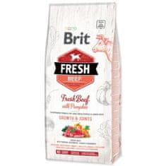 Brit Krmivo Fresh Beef with Pumpkin Puppy Large 12kg