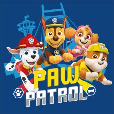 BrandMac Uterák Paw Patrol Team, uterák na tvár, uterák 30x30cm