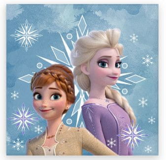 BrandMac Disney Frozen Snowflake uterák na ruky, uterák na tvár, uterák 30x30cm