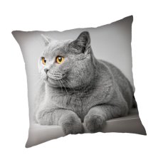 Jerry Fabrics Obliečka na vankúš Cat Grey 45x45 cm