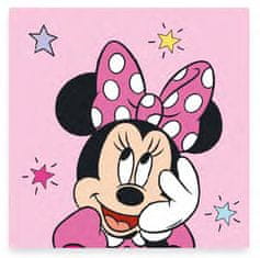 BrandMac Uterák na ruky Disney Minnie Star, uterák na tvár, 30x30 cm