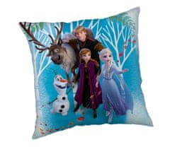 Jerry Fabrics Zamatová obliečka na vankúš Disney Frozen Family 40x40 cm