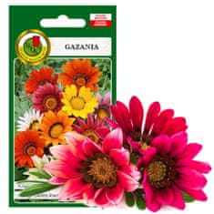 BOBIMARKET gazania viacfarebná dlho kvitne semená 0,8g